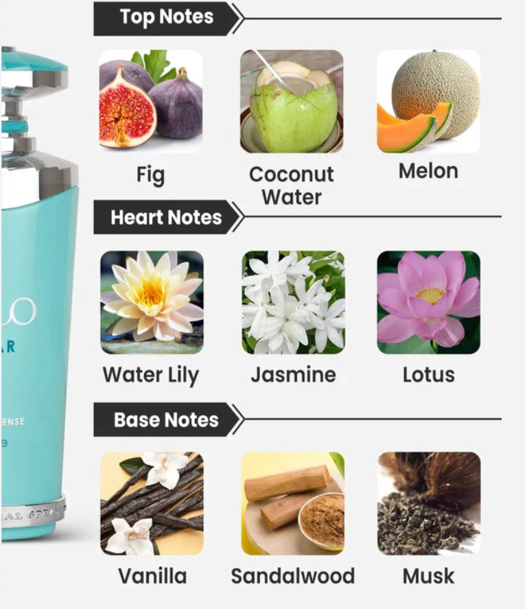 Mayar Natural Intense